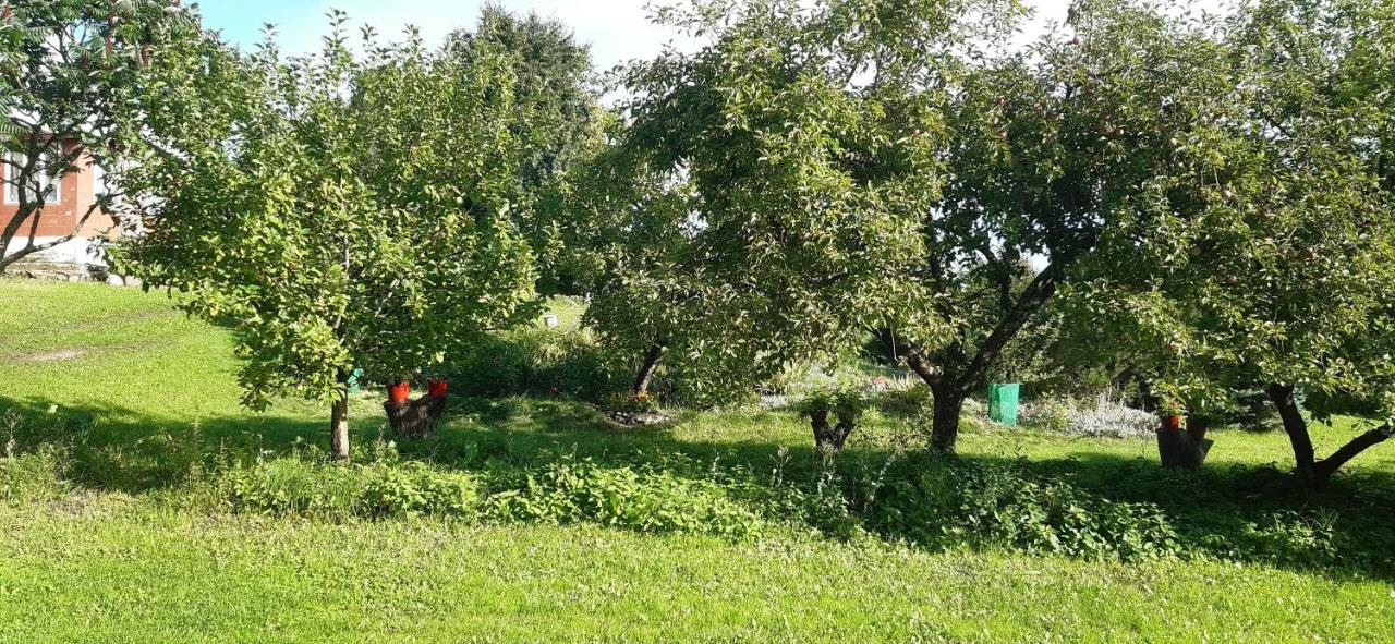 Agroturystyka Nad Czarnym Giby Exterior photo
